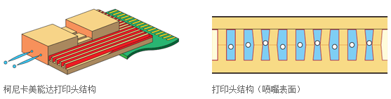 点击打开原图