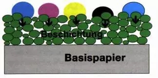 1.webp (4)