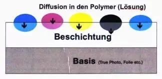 1.webp (5)
