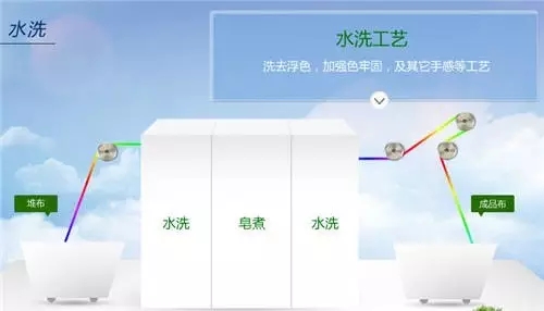 5.webp