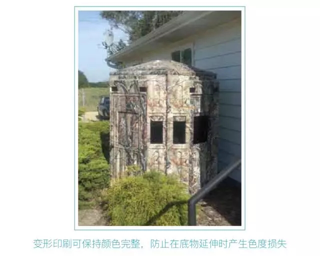 1.webp (5)