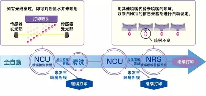 1.webp (14)