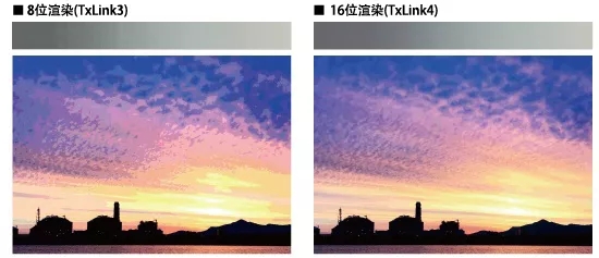 1.webp (15)