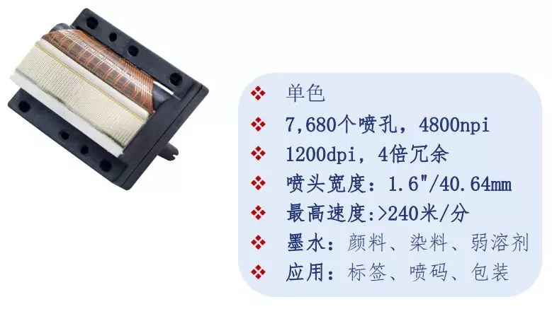 1.webp (9)