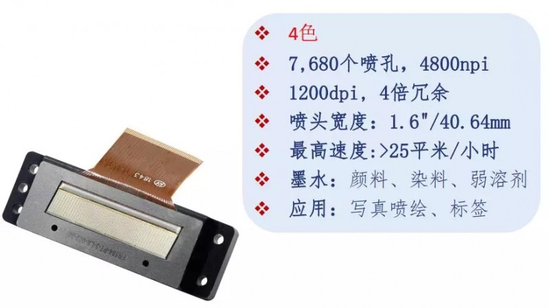 4.webp