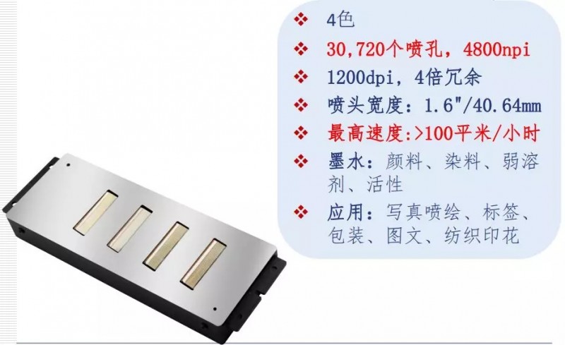 5.webp
