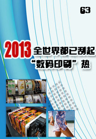 ��������Ѷnewsletter����ʮ����--2013�꣺ȫ���綼�ѹ�������ӡˢ��