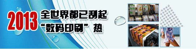 2013�꣺ȫ���綼�ѹ�������ӡˢ����