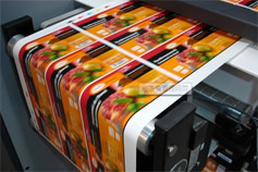 �㲻�ɲ�֪��ʮ������ӡˢ����